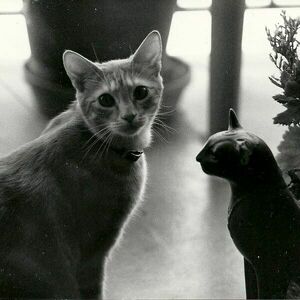 Fundraising Page: Evelyn Gray